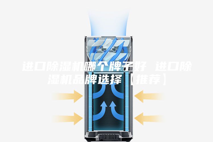 进口除湿机哪个牌子好 进口除湿机品牌选择【推荐】