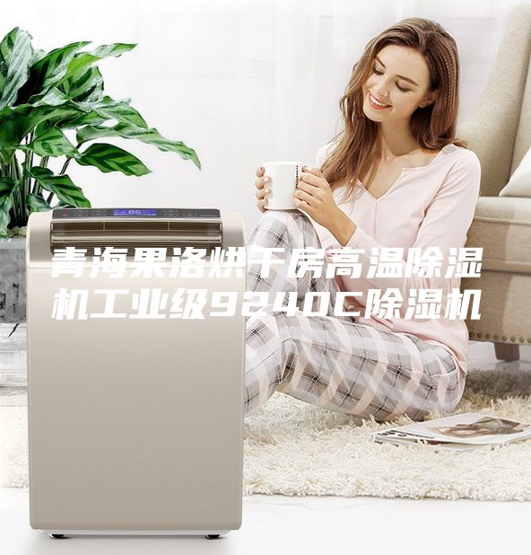 青海果洛烘干房高温除湿机工业级9240C除湿机