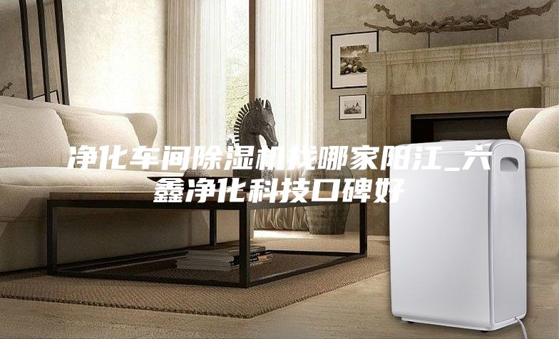 净化车间除湿机找哪家阳江_六鑫净化科技口碑好