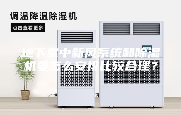 地下室中新风系统和除湿机要怎么安排比较合理？