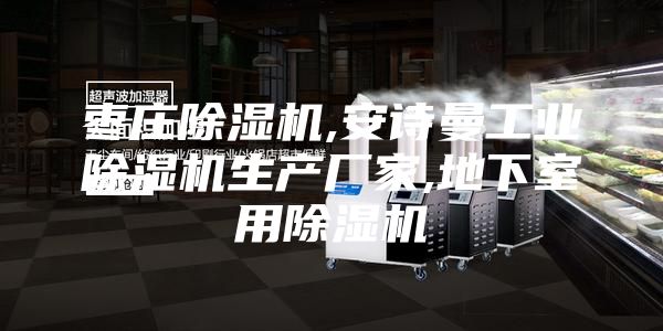 枣庄除湿机,安诗曼工业除湿机生产厂家,地下室用除湿机
