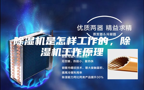 除湿机是怎样工作的，除湿机工作原理
