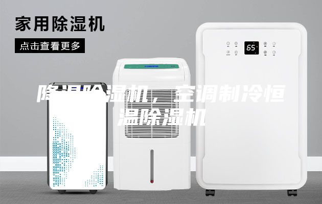 降温除湿机，空调制冷恒温除湿机