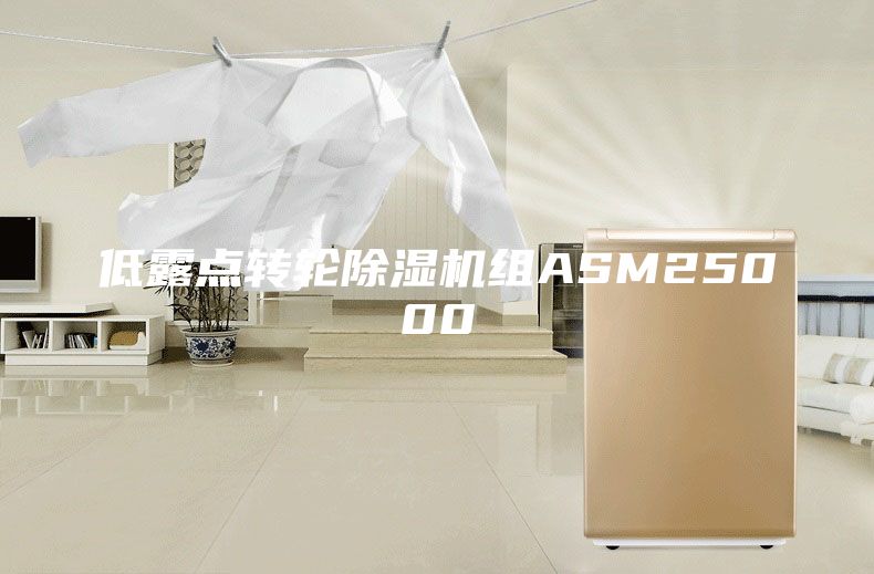 低露点转轮除湿机组ASM25000