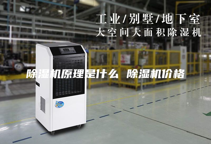 除湿机原理是什么 除湿机价格