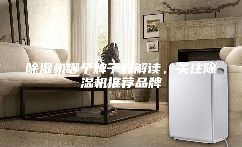 除湿机哪个牌子好解读，关注除湿机推荐品牌