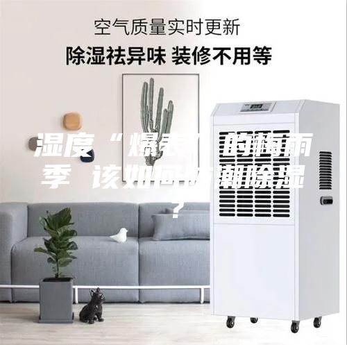 湿度“爆表”的梅雨季 该如何防潮除湿？