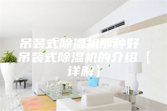 吊装式除湿机那种好 吊装式除湿机的介绍【详解】