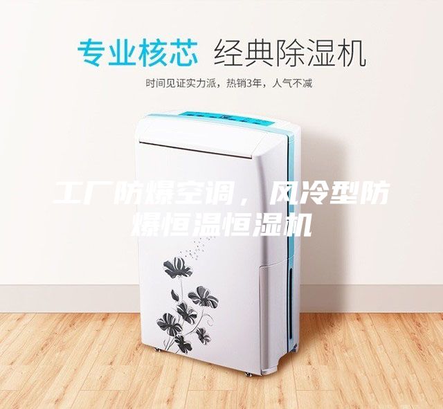 工厂防爆空调，风冷型防爆恒温恒湿机