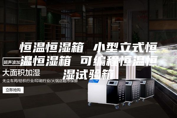 恒温恒湿箱 小型立式恒温恒湿箱 可编程恒温恒湿试验箱