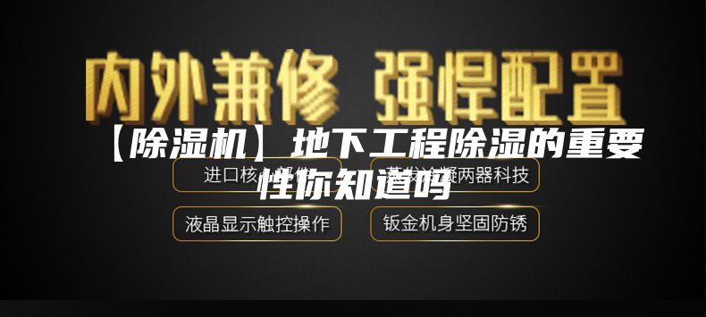 【除湿机】地下工程除湿的重要性你知道吗