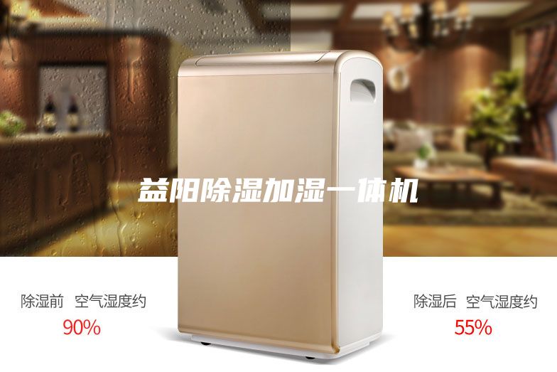 益阳除湿加湿一体机