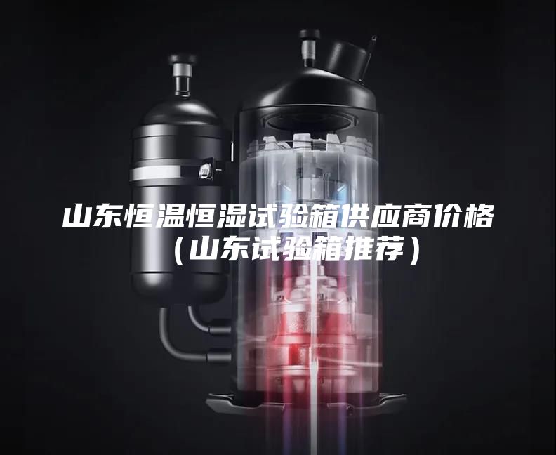 山东恒温恒湿试验箱供应商价格（山东试验箱推荐）