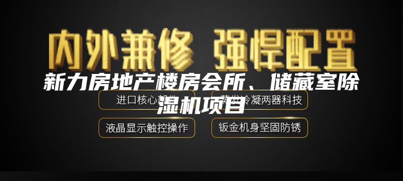 新力房地产楼房会所、储藏室除湿机项目