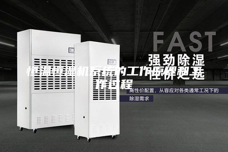 恒温恒湿机系统的工作原理和工作过程