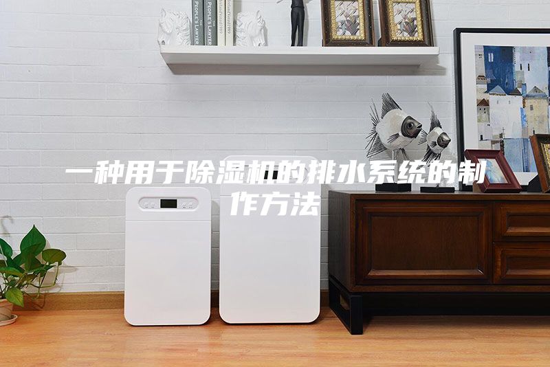 一种用于除湿机的排水系统的制作方法
