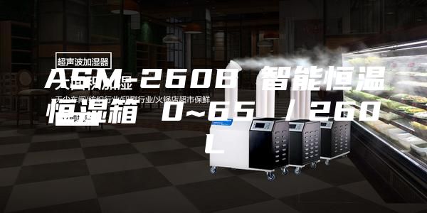 ASM-260B 智能恒温恒湿箱 0~65℃／260L