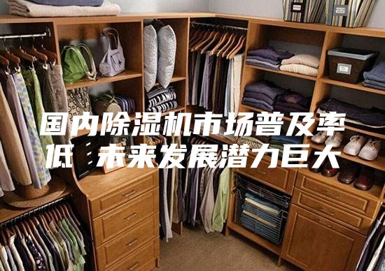 国内除湿机市场普及率低 未来发展潜力巨大