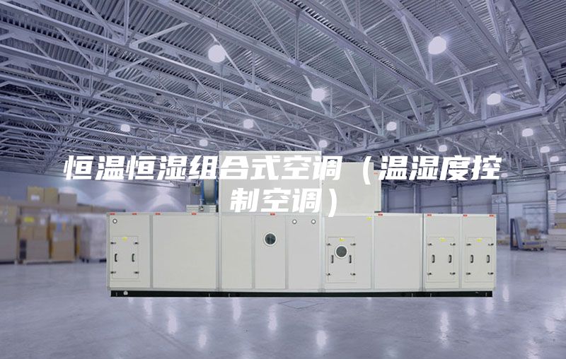 恒温恒湿组合式空调（温湿度控制空调）