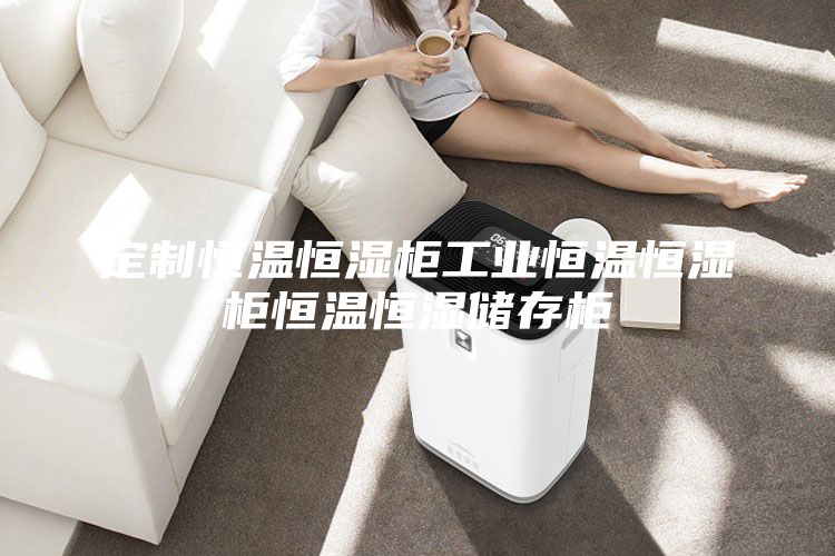 定制恒温恒湿柜工业恒温恒湿柜恒温恒湿储存柜
