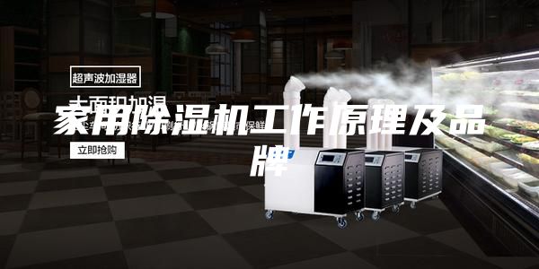 家用除湿机工作原理及品牌