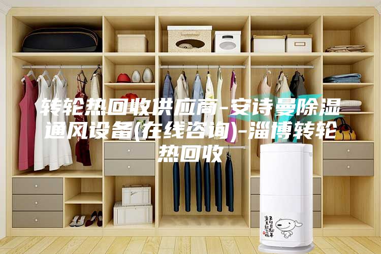转轮热回收供应商-安诗曼除湿通风设备(在线咨询)-淄博转轮热回收