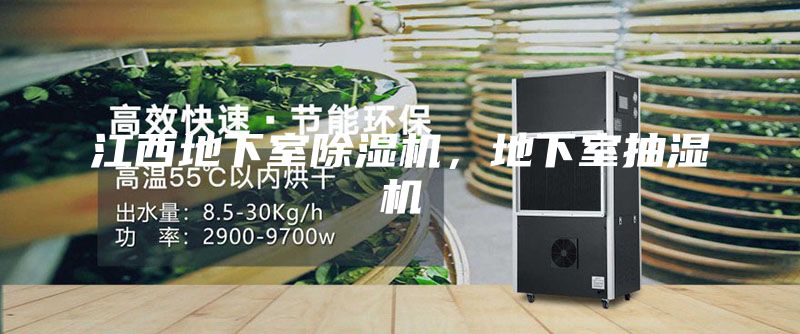 江西地下室除湿机，地下室抽湿机