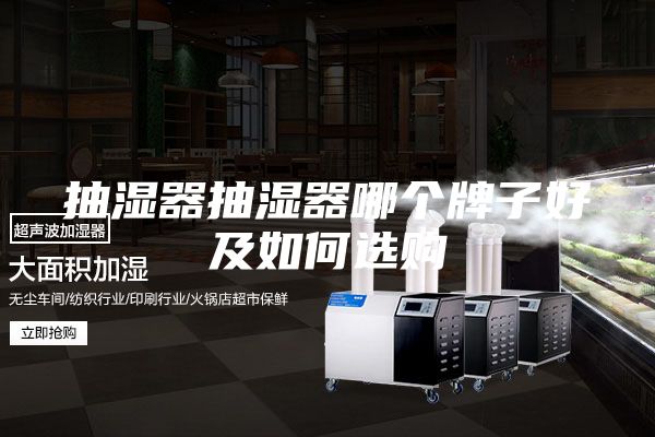 抽湿器抽湿器哪个牌子好及如何选购