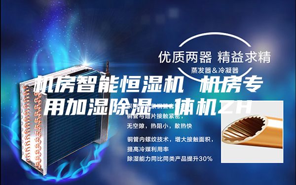 机房智能恒湿机 机房专用加湿除湿一体机ZH