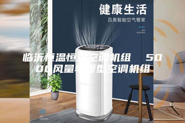 临沂恒温恒湿空调机组  5000风量单暖型空调机组