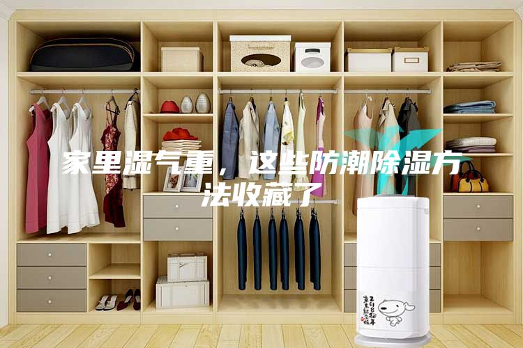 家里湿气重，这些防潮除湿方法收藏了