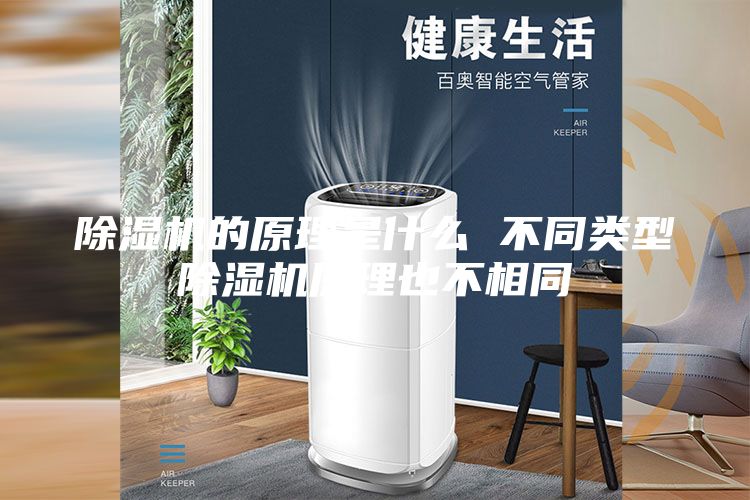 除湿机的原理是什么 不同类型除湿机原理也不相同