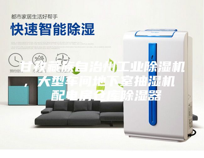 甘孜藏族自治州工业除湿机，大型车间地下室抽湿机  配电房仓库除湿器