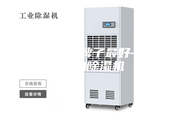 除湿机什么牌子最好—怎样选购除湿机