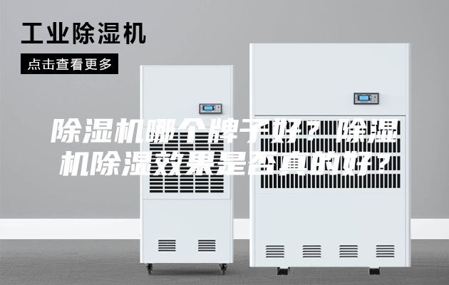 除湿机哪个牌子好？除湿机除湿效果是否真的好？