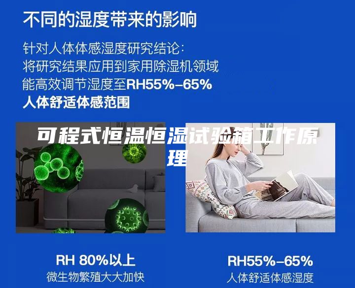 可程式恒温恒湿试验箱工作原理