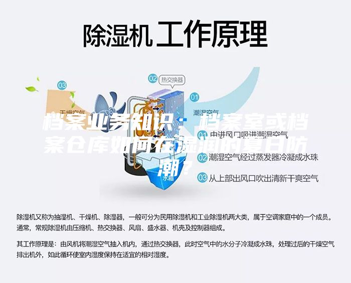 档案业务知识：档案室或档案仓库如何在湿润的夏日防潮？