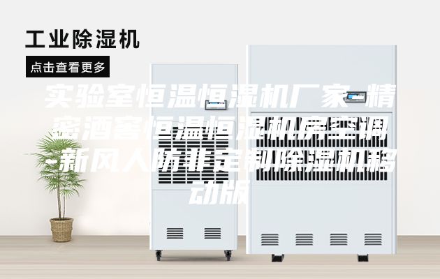 实验室恒温恒湿机厂家-精密酒窖恒温恒湿机房空调-新风人防非定制除湿机移动版