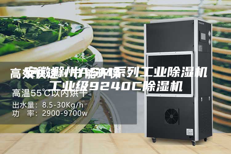 安徽滁州ASM系列工业除湿机工业级9240C除湿机