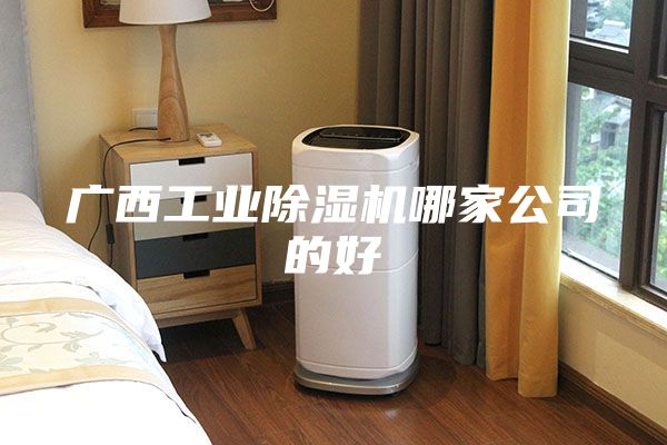 广西工业除湿机哪家公司的好