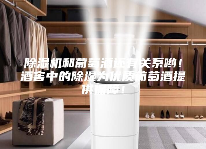 除湿机和葡萄酒还有关系哟！酒窖中的除湿为优质葡萄酒提供保障！