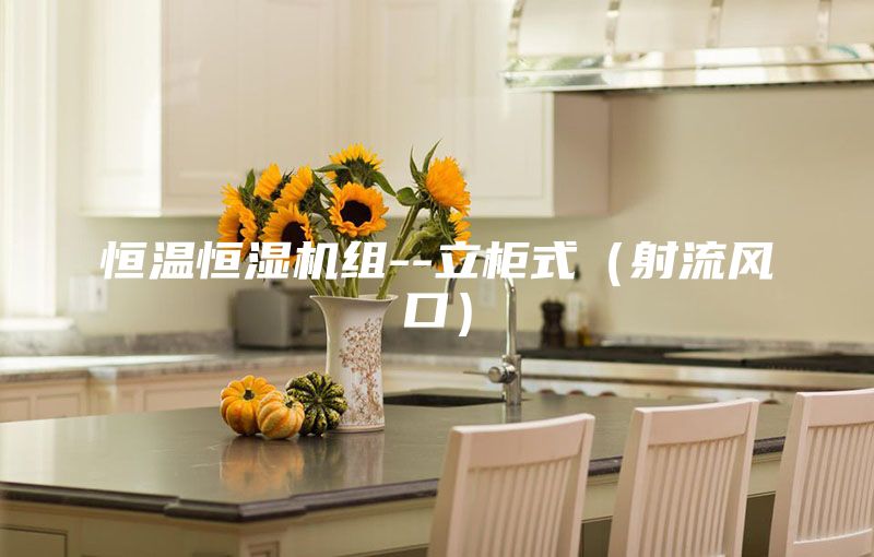 恒温恒湿机组--立柜式（射流风口）