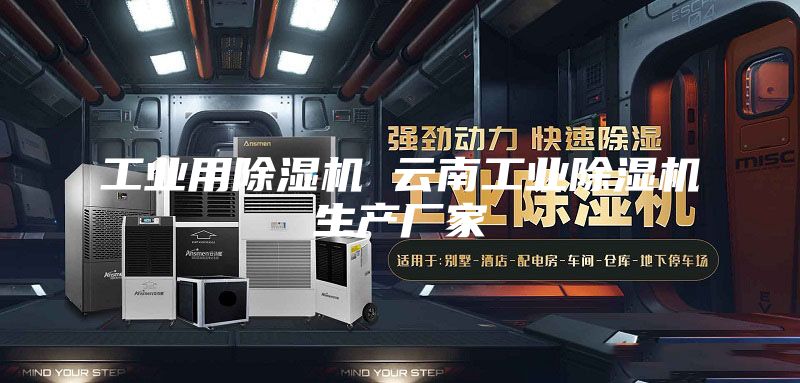 工业用除湿机 云南工业除湿机生产厂家