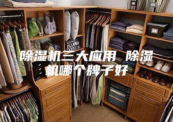除湿机三大应用 除湿机哪个牌子好