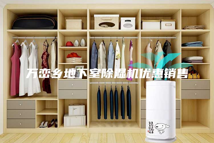 万峦乡地下室除湿机优惠销售