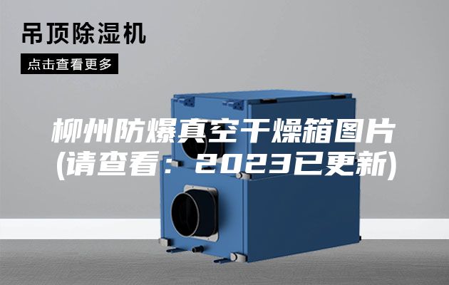 柳州防爆真空干燥箱图片(请查看：2023已更新)
