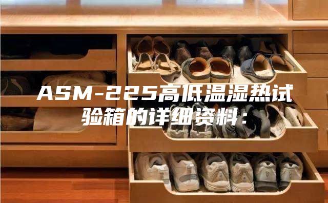 ASM-225高低温湿热试验箱的详细资料：