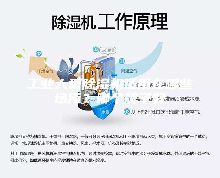 工业大型除湿机适用在哪些场所？哪个牌子好