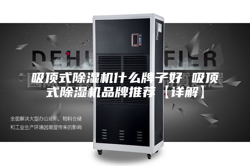 吸顶式除湿机什么牌子好 吸顶式除湿机品牌推荐【详解】