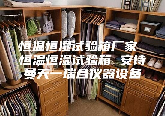 恒温恒湿试验箱厂家 恒温恒湿试验箱 安诗曼天一瑞合仪器设备